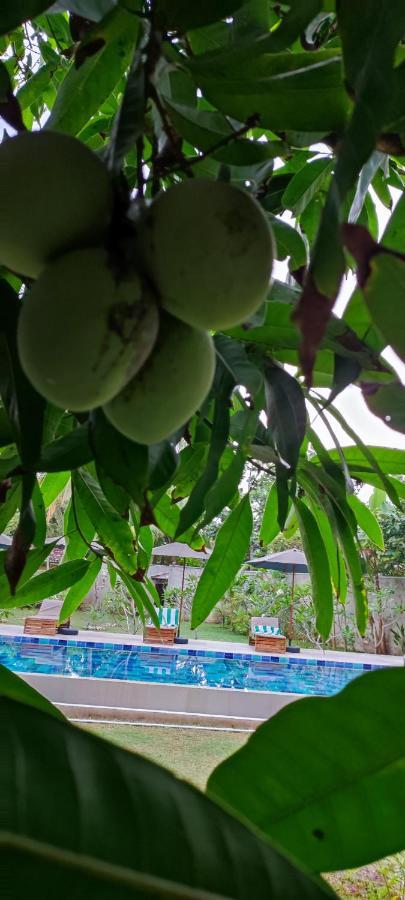 Mango Tree Villa Bentota Esterno foto